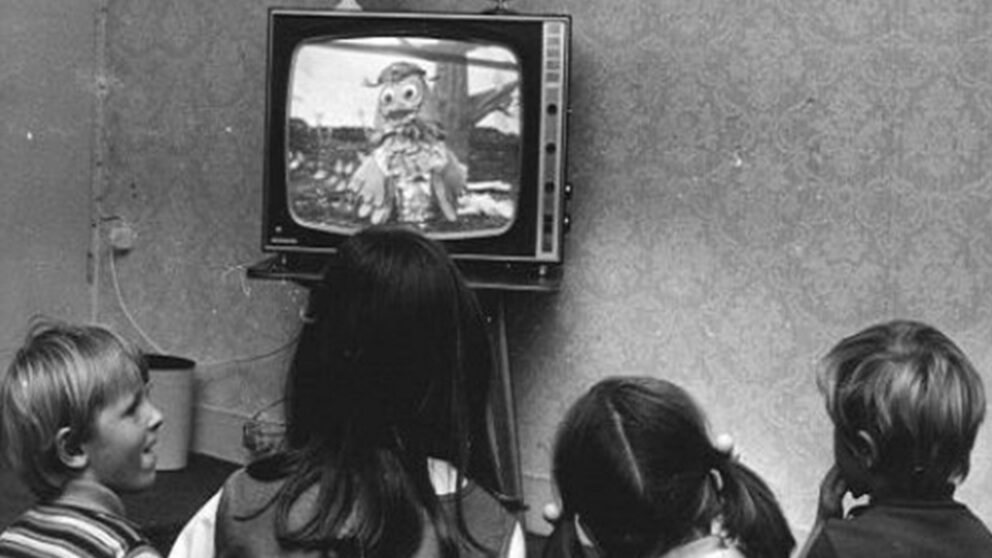 Highlights in 50 jaar kijkonderzoek