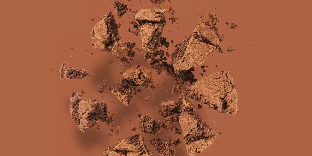 The Cookieless-era: wat kunnen we verwachten?