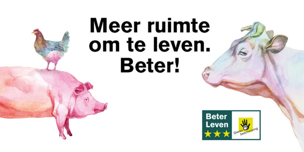 Meer ruimte om te leven. Beter!