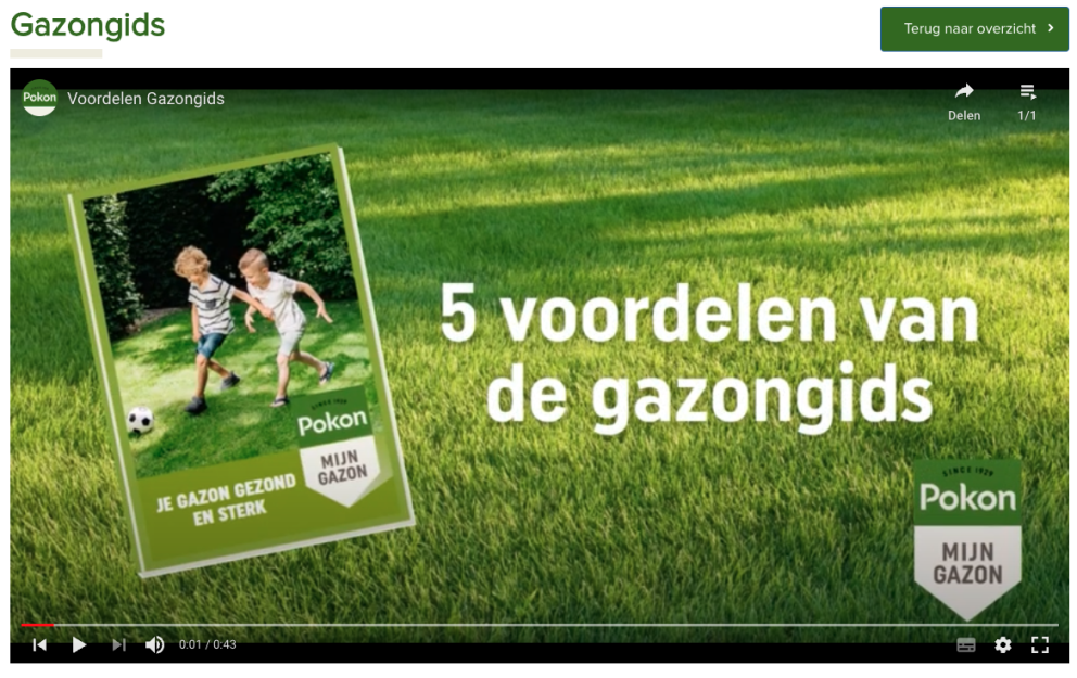 Gazongids