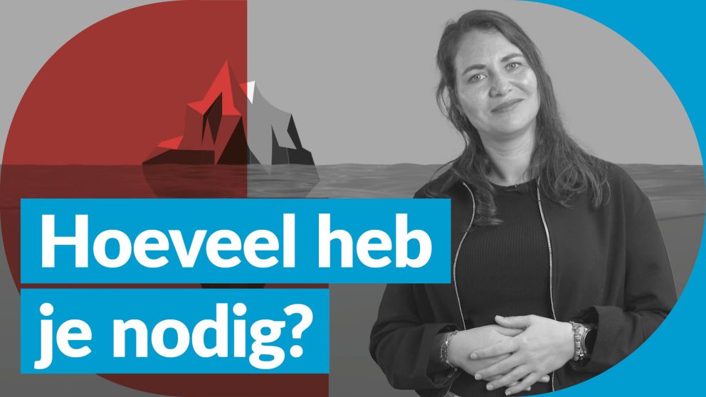 Budgetbepaling: hoeveel heb je nodig?